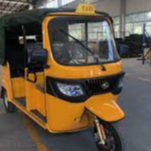 Tuk Tuk Taxi India 3 Wheel Adult Passenger E Tricycle