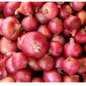 Onion