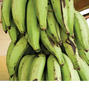 Plantains