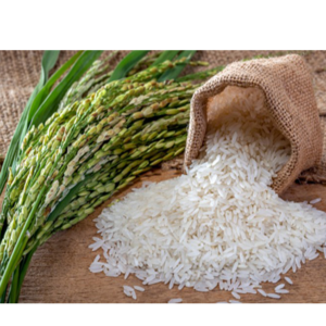 Non Basmati Rice