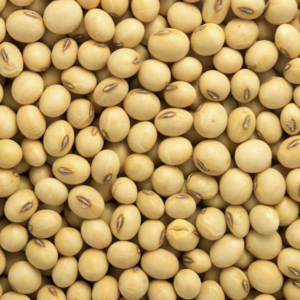 Soybeans
