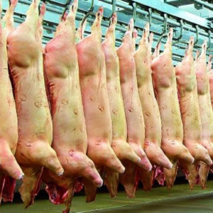 PORK