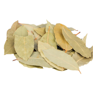 laurel leaves