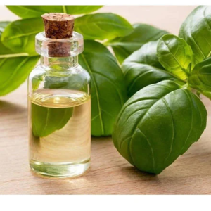 basil oil
