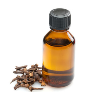 CLOVE BUD OIL