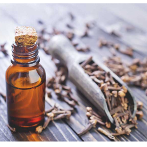 CLOVE OIL