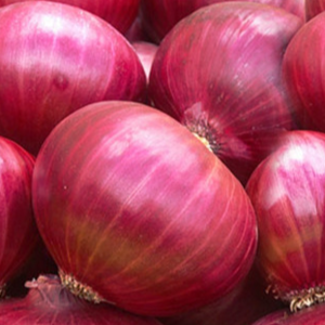 onion