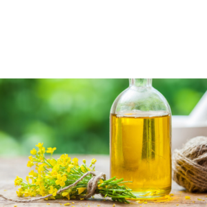 canola oil