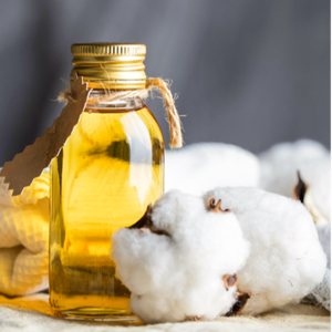 cutton seed oil