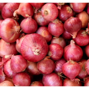onion