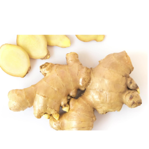 GINGER