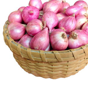 Onion