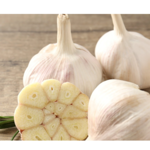 garlic