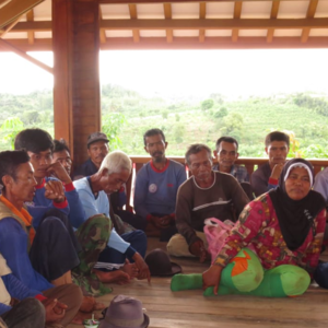 Rubber Plantation