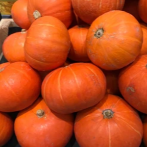 Pumpkin
