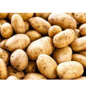 Potato