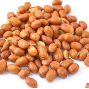 Peanut
