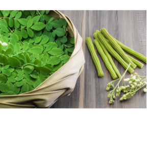 Moringa seeds and leaves