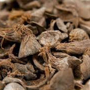 Palm kernel shell