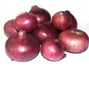 Onion