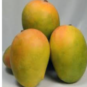 Kesar mango