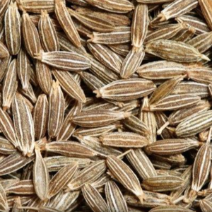 Cumin Seed