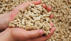 Pellet