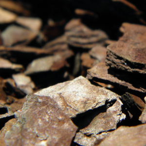 Iron Ore Fe 62%-64% & Rejection 62%
