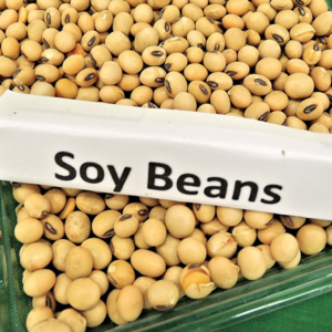 Soya Bean Non-Gmo (Brazilian)