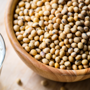 Soya Bean Non-Gmo (South African)