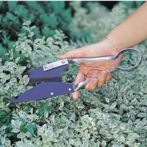 Leafage and Grass Shears - 3151