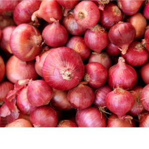 onion