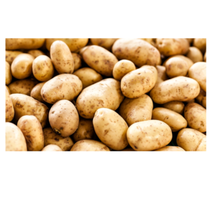 Potato