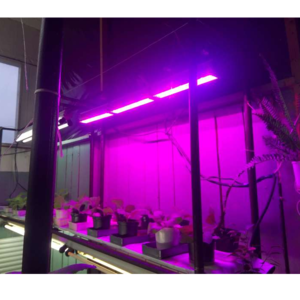 Luminaires for greenhouses