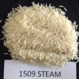 1509 Steamed Basmati Rice