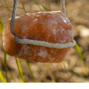 Natural Licking Salt
