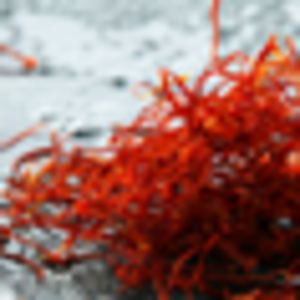 Saffron Top Negin
