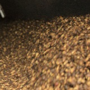 Biomass Fuel