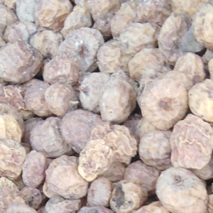 Tiger Nuts