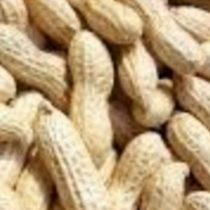 Peanuts(Groundnuts)