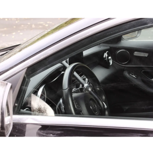 Steering wheel lock Python