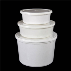 Plastic Disposable Food Container