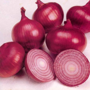 RED ONION