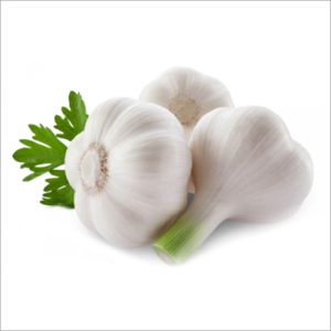 WHITE GARLIC