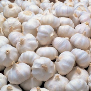 WHITE GARLIC