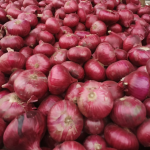 Nasik Red Onion
