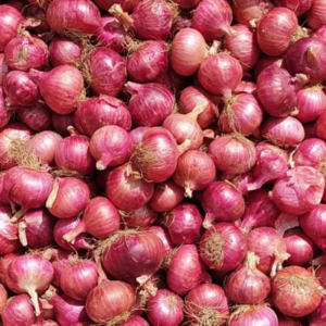 Fresh Onion