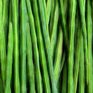 Drumsticks