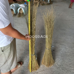 Palm Broom Stick