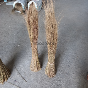 Palm Broom Stick
